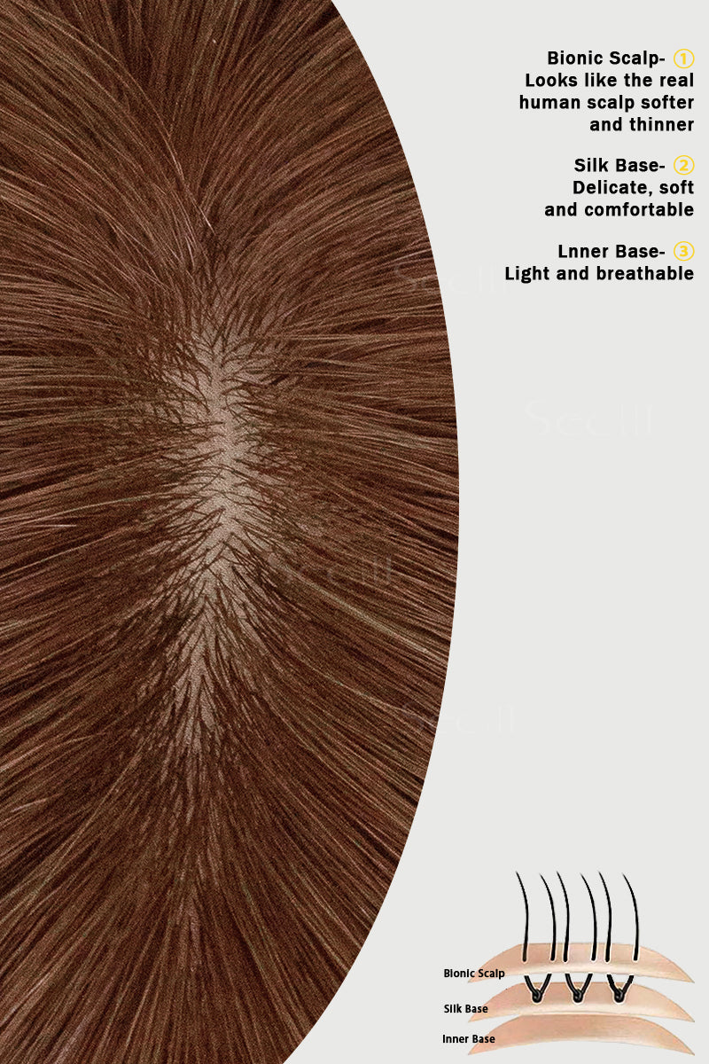 Illustration of a hair follicle with text describing different hair components.