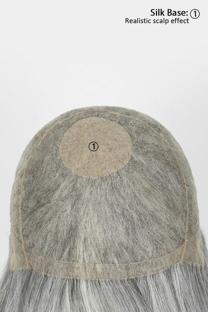 Back view of a gray synthetic wig with a realistic scalp effect and short gray hair, shown on a white background with text reading &