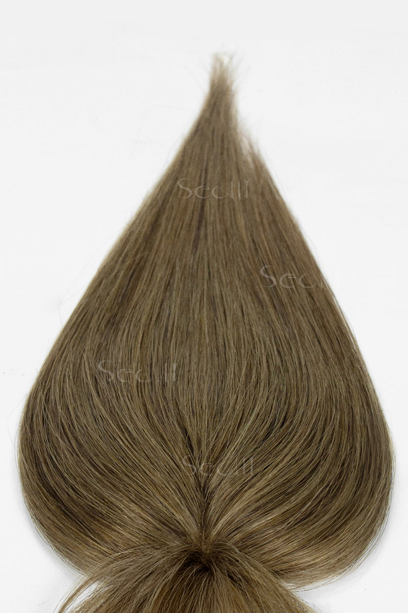 Light Chestnut Brown 